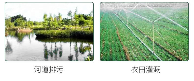 詳情_03.jpg