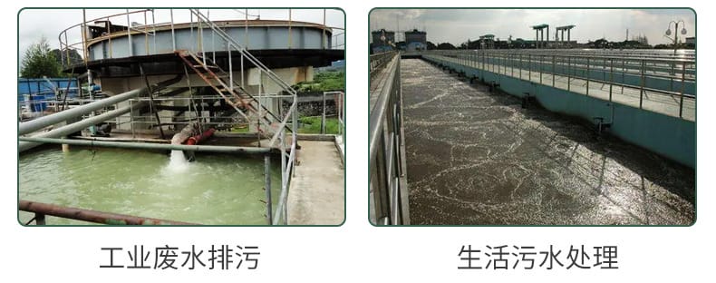 詳情_03