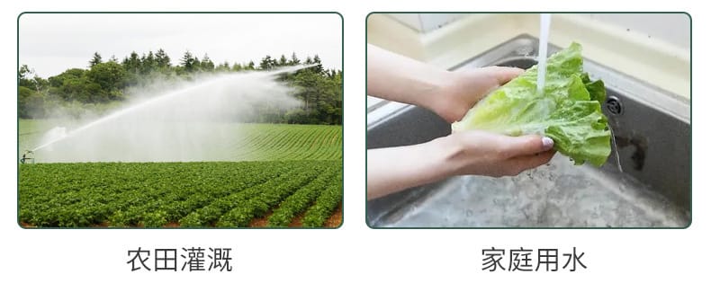 詳情_03.jpg