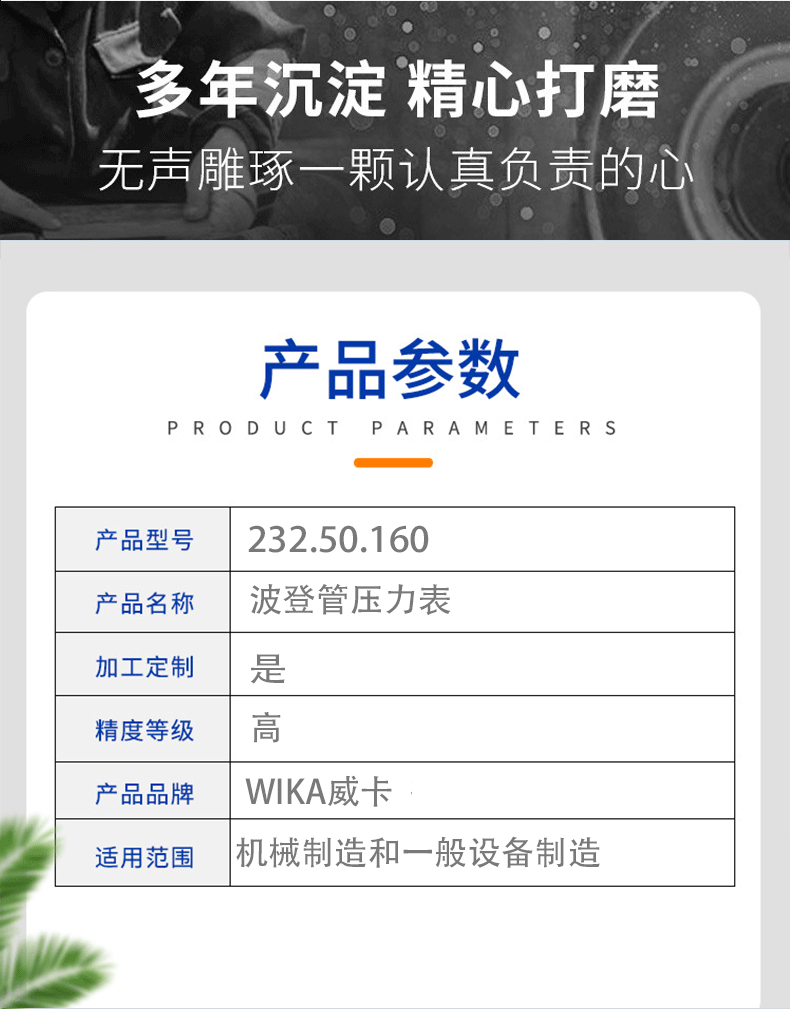 232.50.160壓力表_04