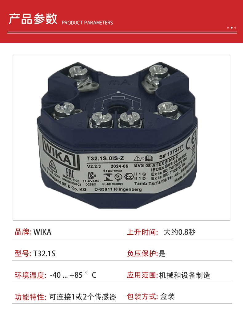 溫度變送器T32.1S_03