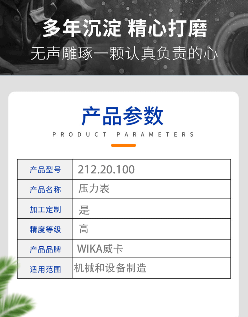 212.20.100壓力表_04