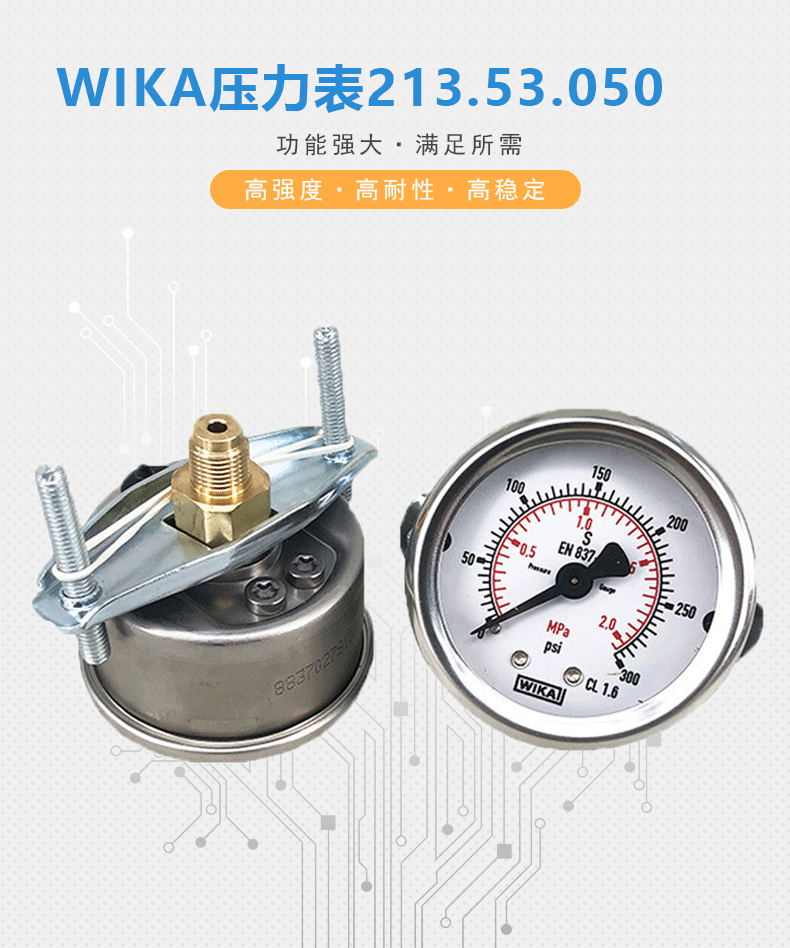213.53.050壓力表_01