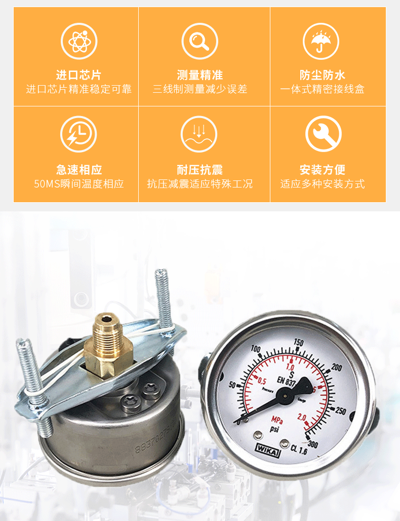213.53.050壓力表_03