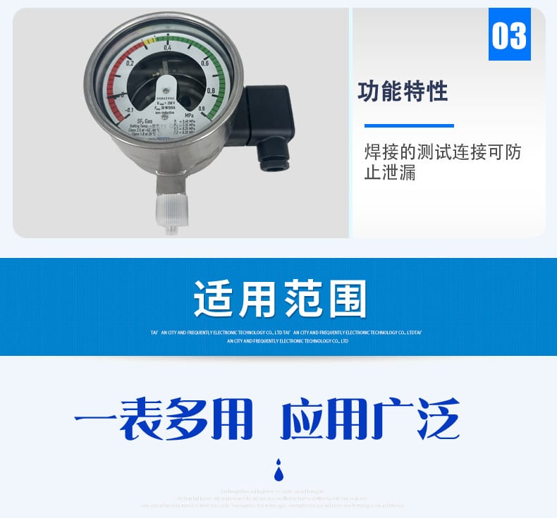 GDM-100氣體密度表2_05
