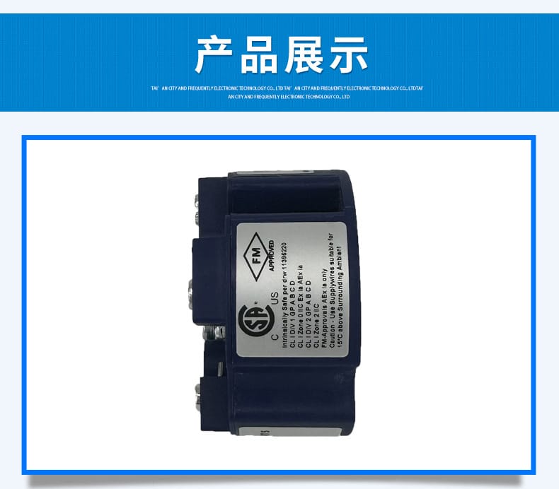 溫度變送器T32.1S-2_07