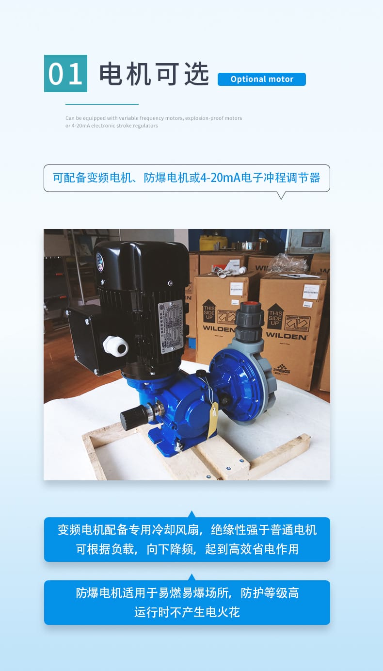 MS1系列-2.jpg
