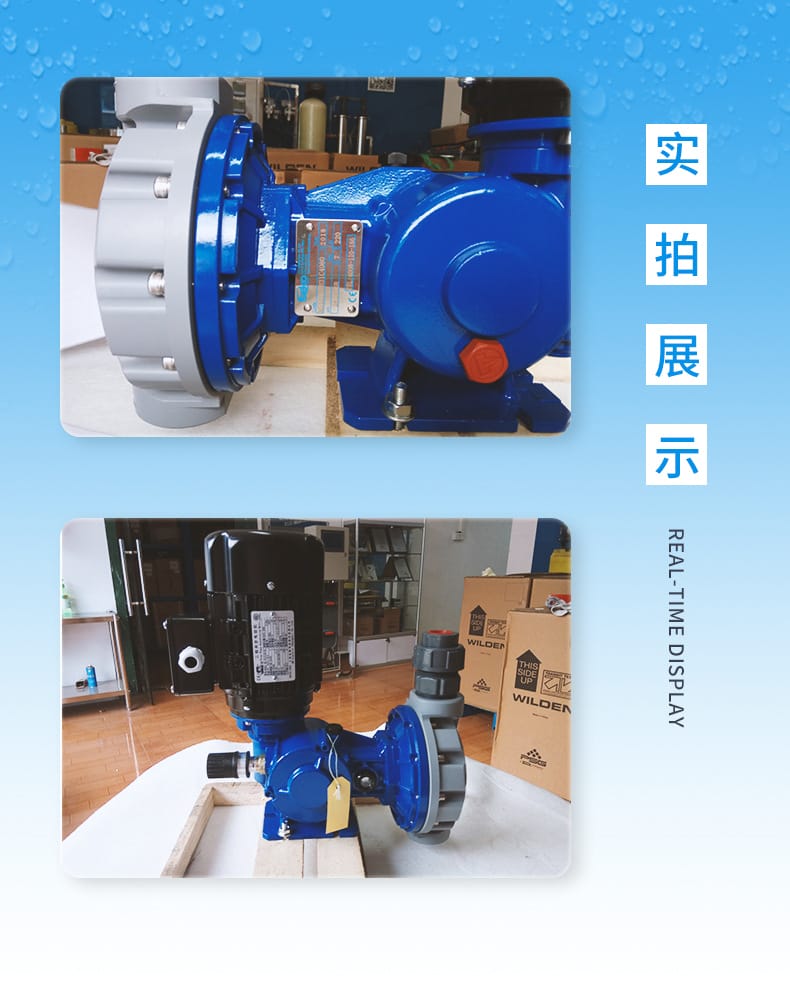 MS1系列-5.jpg