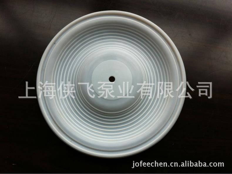 照片 244